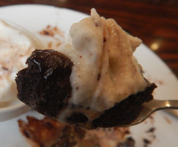 �K�X�g �t�H���_���V���R��