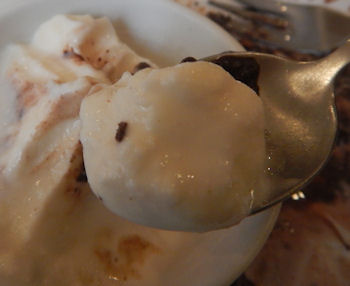 �K�X�g �t�H���_���V���R��