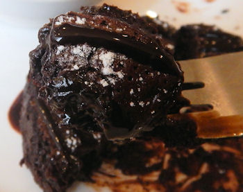 �K�X�g �t�H���_���V���R��