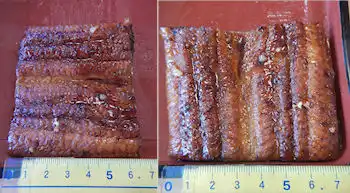 �K�X�g�@���Ȃ�