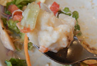 �K�X�g �K�p�I���C�X�v���[�g