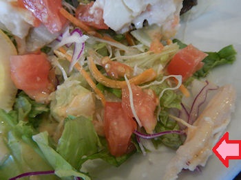 �K�X�g �K�p�I���C�X�v���[�g