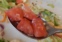 �K�X�g �K�p�I���C�X�v���[�g