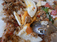 �K�X�g �K�p�I���C�X�v���[�g