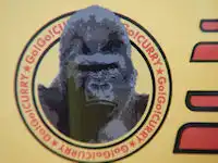 �K�X�g �S�[�S�[�J���[