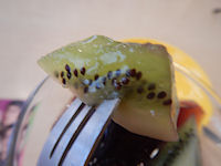 �K�X�g �Ԃǂ��[���[