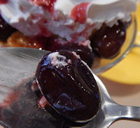 �K�X�g �Ԃǂ��R���|�[�g�T���f�[