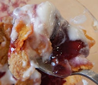 �K�X�g �t���b�V���Ԃǂ��ƃ}�����N���[���T���f�[