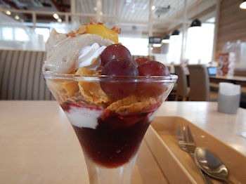 �K�X�g �t���b�V���Ԃǂ��ƃ}�����N���[���T���f�[