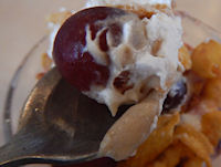 �K�X�g �t���b�V���Ԃǂ��ƃ}�����N���[���T���f�[