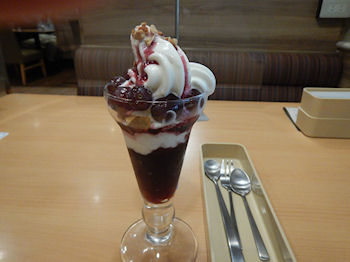 �K�X�g �t���b�V���Ԃǂ��̃p�t�F