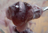 �K�X�g �t���b�V���Ԃǂ��̃p�t�F