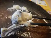 �K�X�g ���� �Œ�