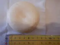 �K�X�g ���� �Œ�