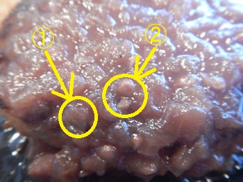 �K�X�g �n���o�[�O���ߐF���܂˂��̃\�[�X