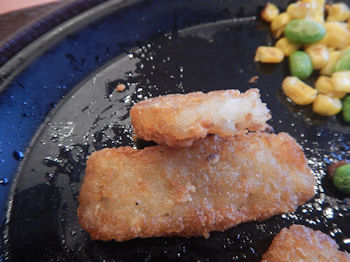 �K�X�g �n���o�[�O���ߐF���܂˂��̃\�[�X