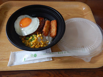 �K�X�g �n���o�[�O