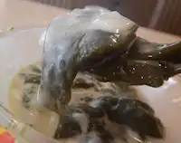 �K�X�g �����[���[