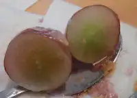 �K�X�g �[���[