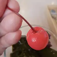 �K�X�g �[���[