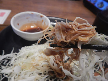 �K�X�g �J�L�t���C