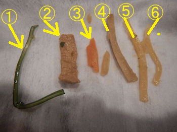 �K�X�g �J�L�t���C