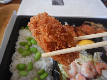 �K�X�g �J�L�t���C