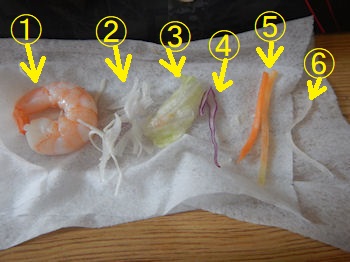 �K�X�g �J�L�t���C