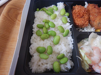 �K�X�g �J�L�t���C