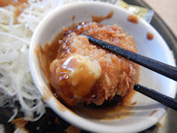 �K�X�g �J�L�t���C