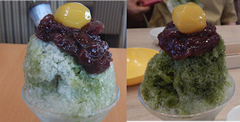 �K�X�g �����X �F������������