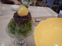 �K�X�g �����X �F������������