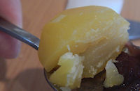 �K�X�g �����X �F������������