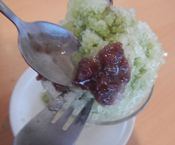 �K�X�g �����X �F������������