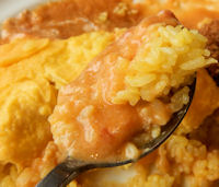 �K�X�g �I�����C�X