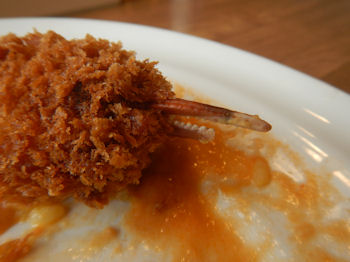 �K�X�g �I�܃t���C