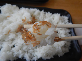 �K�X�g ���g��