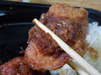 �K�X�g ����D��