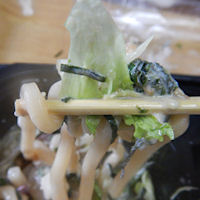 �K�X�g �˂΂Ƃ�T���_���ǂ�Ǝ�{�O������`�ÂƂ�_��