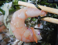 �K�X�g �˂΂Ƃ�T���_���ǂ�Ǝ�{�O������`�ÂƂ�_��