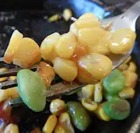 �K�X�g �S�ł̐n