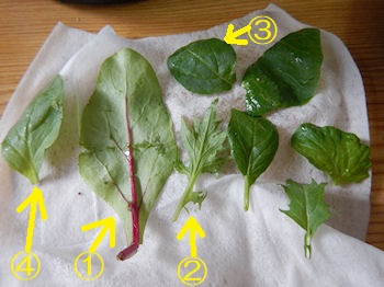 �K�X�g ��₵�����������[����