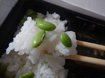 �K�X�g �r�[�t�J�b�g�X�e�[�L