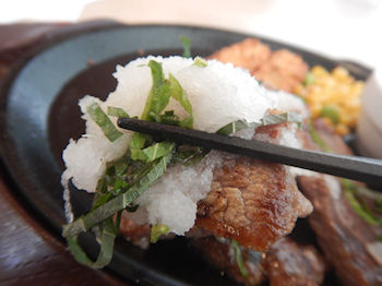 �K�X�g �r�[�t�̓b�g�X�e�[�L