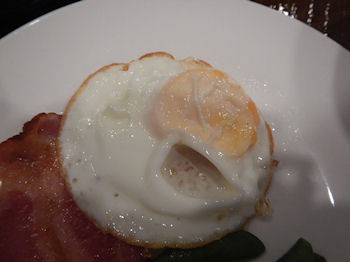 �K�X�g �ڋʏĂ����x�[�R������H