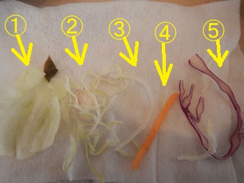 �K�X�g �ڋʏĂ��Z�b�g