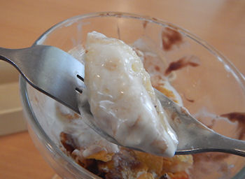 �K�X�g�@�}���S�[�p�t�F