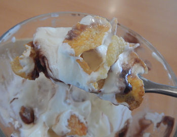 �K�X�g�@�}���S�[�p�t�F