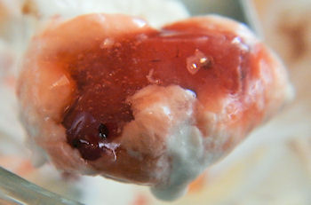 �K�X�g�@�}���S�[�p�t�F