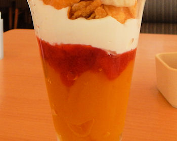 �K�X�g�@�}���S�[�p�t�F